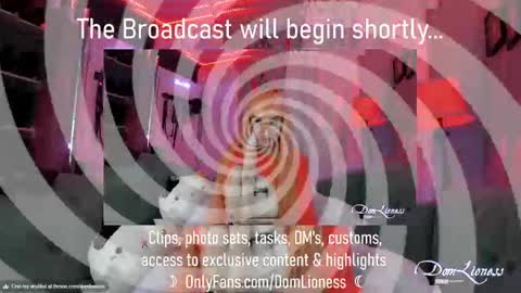 DomLioness online show from October 2025 11:17:01 PM