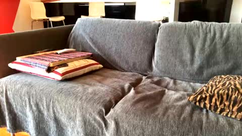 Alfredo online show from February 2025 10:21:02 AM