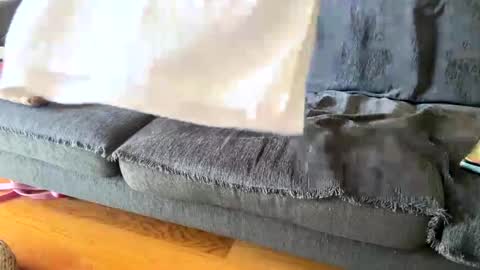 Alfredo online show from September 2025 11:00:02 AM