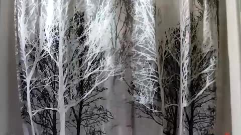 donschlongs online show from January 2025 08:00:02 PM