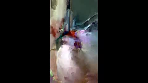 Snapshot of doogie215 chatting on March 2026 12:50:01 AM doogie215 online show from March 2026 12:50:01 AM