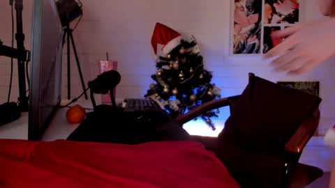    Next stream November 24    online show from December 2024 03:36:02 PM