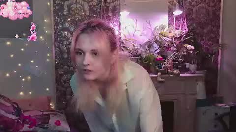 DiBi online show from July 2026 02:14:01 AM