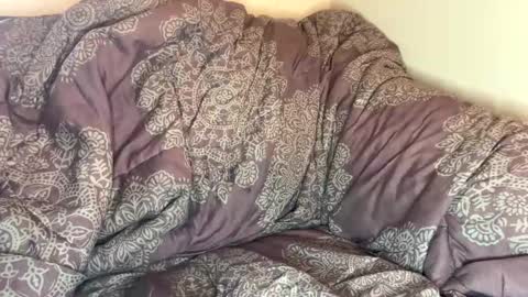 dove_love22 online show from October 2025 06:18:02 PM