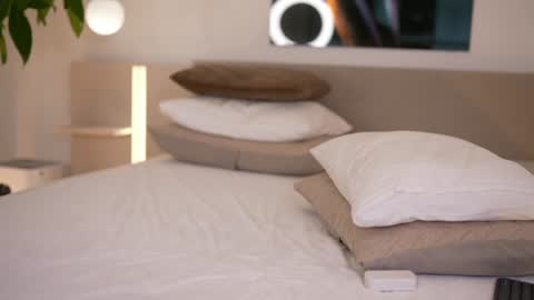    .         . online show from December 2025 08:01:02 AM