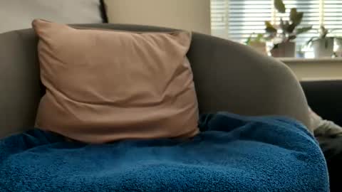 Drayfus online show from April 2026 04:15:02 PM