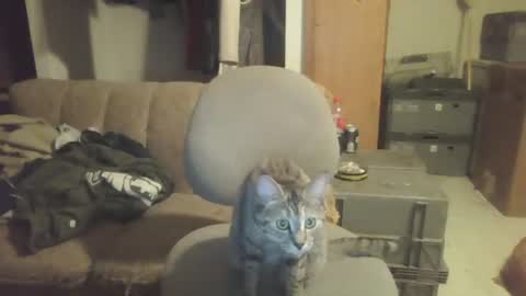 Snapshot of drac2009 chatting on January 2025 05:11:02 AM drac2009 online show from January 2025 05:11:02 AM