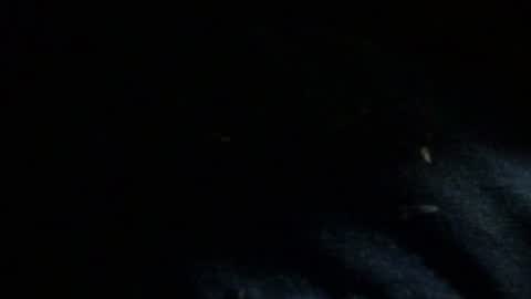 Dreadedted online show from November 2025 08:14:01 AM