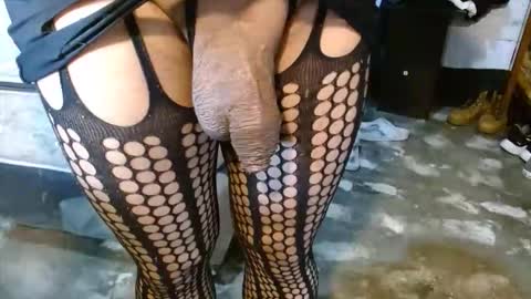 dreamreal online show from March 2026 12:44:02 PM