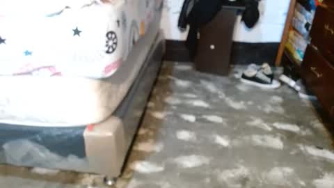 dreamreal online show from April 2026 10:52:02 AM