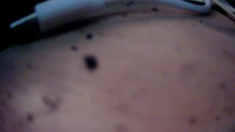 dreamy2020 online show from January 2025 04:12:02 PM