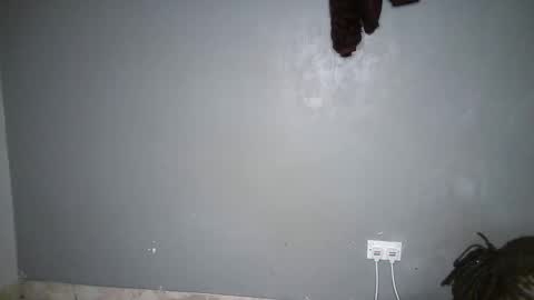 drip_swt online show from November 2025 09:43:01 AM