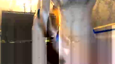 Snapshot of drippydickboy chatting on January 2026 06:02:02 PM drippydickboy online show from January 2026 06:02:02 PM