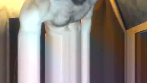 Snapshot of drippydickboy chatting on February 2026 09:19:01 PM drippydickboy online show from February 2026 09:19:01 PM