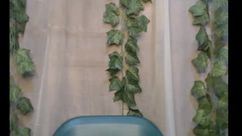 linda online show from September 2025 12:26:02 AM