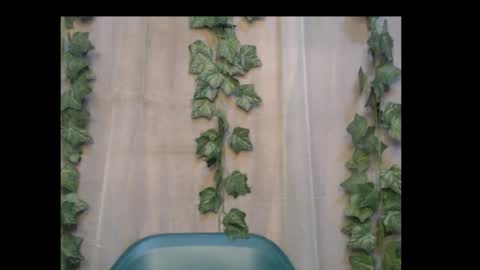 linda online show from October 2025 02:09:02 AM