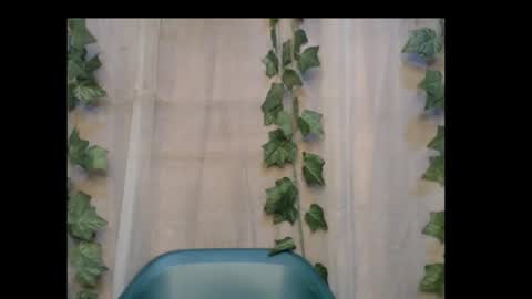 linda online show from October 2025 01:12:02 PM