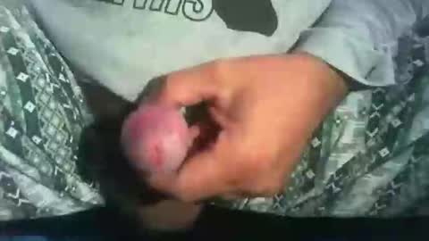 dude_13 online show from October 2025 04:13:02 AM