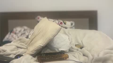 dudecuzbeo online show from March 2025 12:00:01 AM