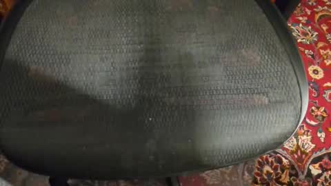 dudewipe online show from February 2026 07:34:01 AM