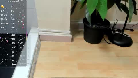 dulce__fiore07 online show from November 2025 11:46:02 AM