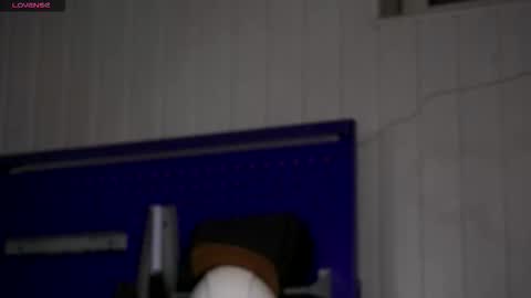 Dustyn online show from November 2025 03:34:01 PM