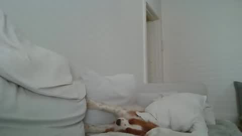 Snapshot of dustyroy09 chatting on February 2025 01:45:02 AM dustyroy09 online show from February 2025 01:45:02 AM