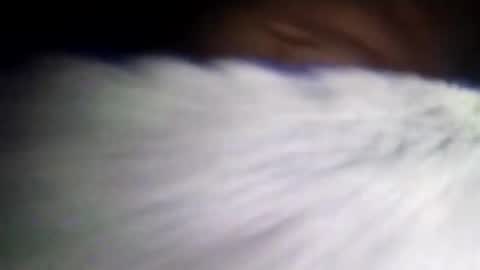 Snapshot of duvanarleyy chatting on October 2025 06:36:01 AM duvanarleyy online show from October 2025 06:36:01 AM