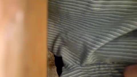 dVe1oPe online show from January 2025 09:30:02 AM