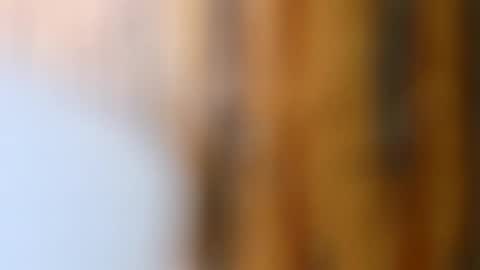 dVe1oPe online show from October 2025 09:21:01 AM