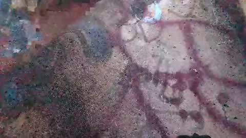 dwadek081704 online show from November 2025 02:52:02 PM