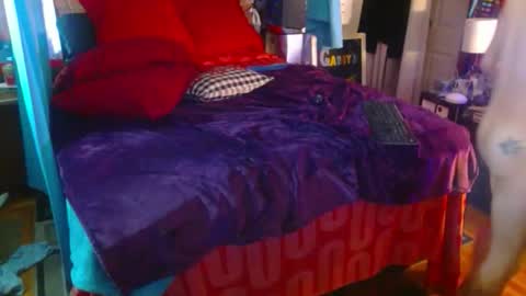 eastbayboy57 online show from February 2026 12:53:02 PM