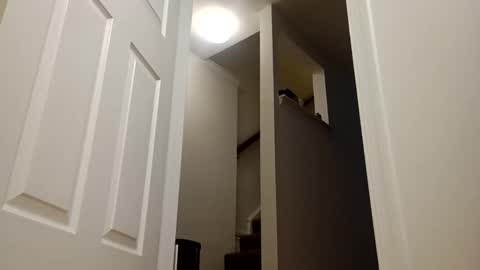 easternjerk online show from December 2025 11:04:02 AM