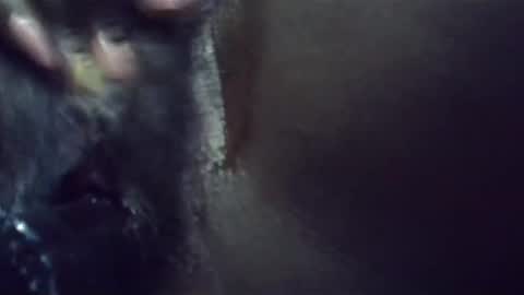 ebonykiki online show from January 2025 11:36:02 PM