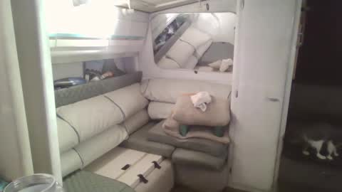 Tim online show from December 2024 05:15:01 AM