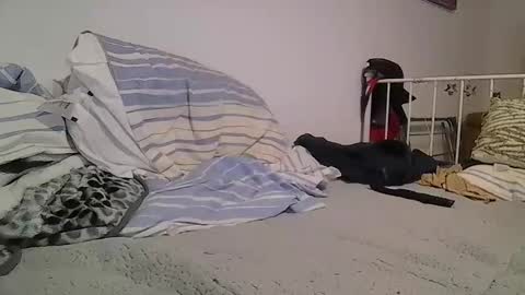 EdM online show from February 2026 10:16:01 PM