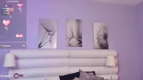    online show from February 2025 07:05:02 PM