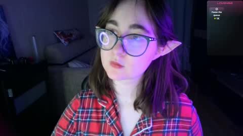 If you like it when I meow give me a thumbs up online show from December 2024 02:17:01 PM