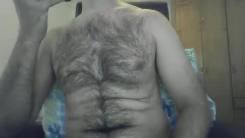 Elastik6 online show from December 2024 02:38:01 PM