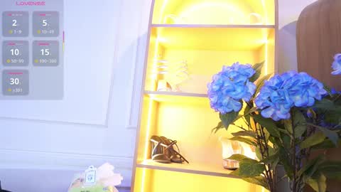 Snapshot of elasummeer chatting on November 2025 11:31:02 AM Elasummeer online show from November 2025 11:31:02 AM