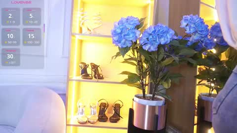 Snapshot of elasummeer chatting on November 2025 12:00:02 PM Elasummeer online show from November 2025 12:00:02 PM