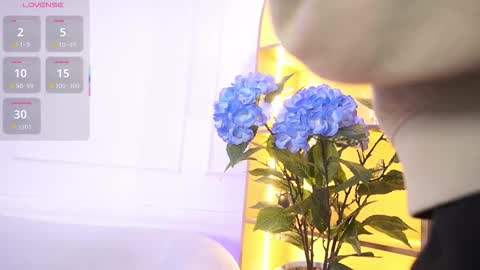 Snapshot of elasummeer chatting on November 2025 11:43:02 AM Elasummeer online show from November 2025 11:43:02 AM