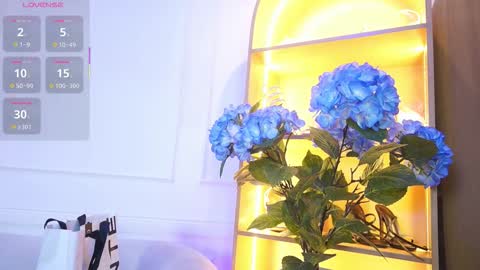 Snapshot of elasummeer chatting on November 2025 11:57:02 AM Elasummeer online show from November 2025 11:57:02 AM