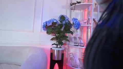 Elasummeer online show from February 2026 11:50:02 AM