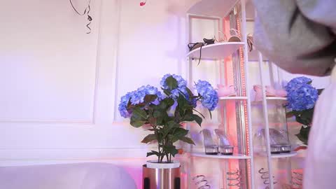 Elasummeer online show from February 2026 11:50:01 AM