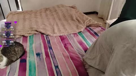 Elektra and Konan online show from November 2025 01:25:02 PM