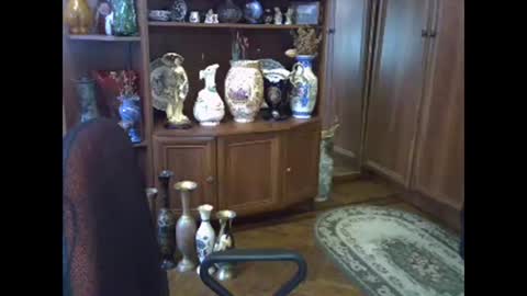 ElenaZed online show from February 2026 08:10:01 AM