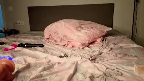 Elfie online show from July 2026 01:08:02 AM