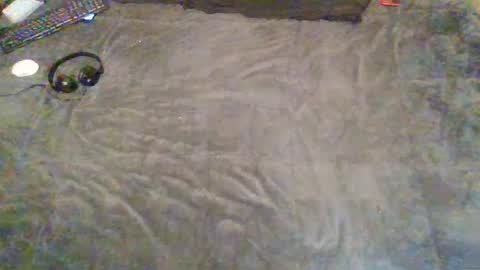 elgsslt online show from February 2025 05:11:02 PM