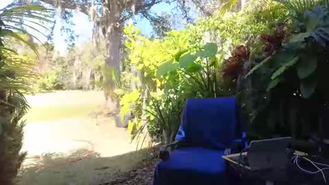 Snapshot of eliberator chatting on February 2025 07:52:01 PM eliberator online show from February 2025 07:52:01 PM